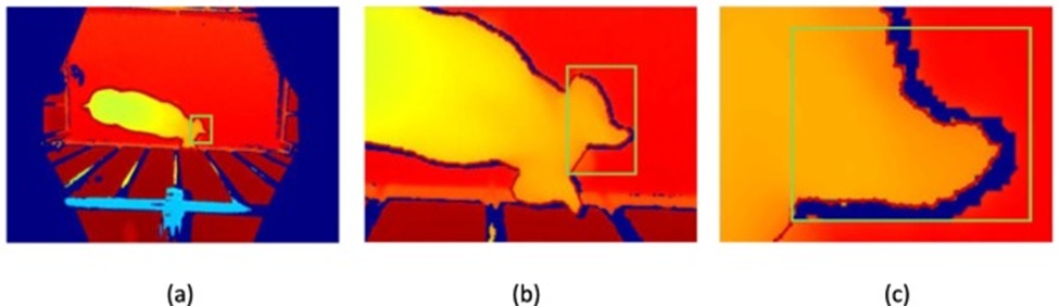 Figure 2. The pig depth image annotation details: (a) the original depth image, (b) the enlarged depth image, and (c) further depth image enlargement.