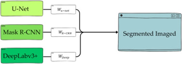 Figure 5. Framework of HAMIS-DLE in ensemble image segmentation method.