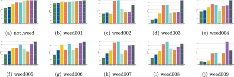Figure 14. Comparisons of specific details before and after model improvement.