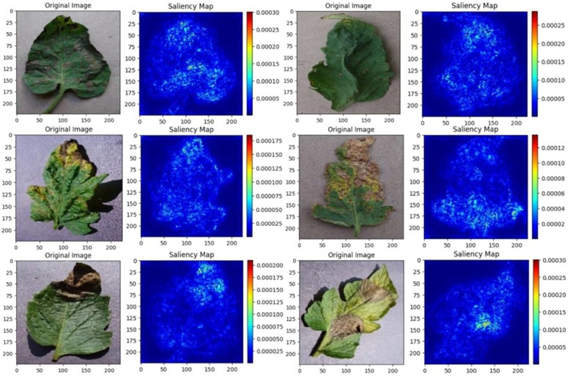 Figure 11. A saliency map, functioning as a high-impact interpretability device, is exhibited within this figure, which renders plainly visible the zones and attributes of greatest consequence inside a diseased leaf depiction. This refined form of scrutiny enriches our understanding of the image’s core properties and helps pinpoint decisive visual signatures for pathological diagnosis.
