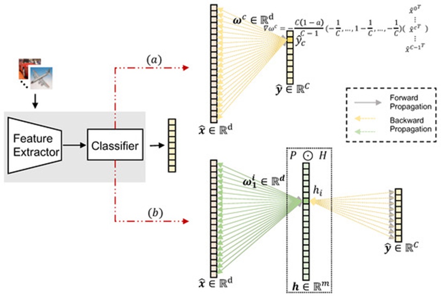 Figure 1. Weights gradients of classifiers with different number of layers. (a) Classifier with one fully connected layer. (b) Classifier with two fully connected layers.