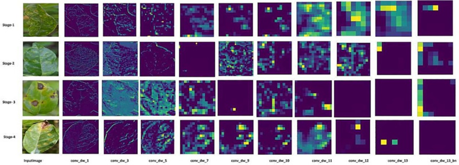 Figure 21. Layer visualization of the MobileNetV3 classifier.