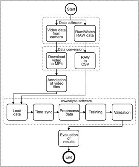 Figure 1. The workflow of this study with three main tasks: data collection, conversion, and analysis.
