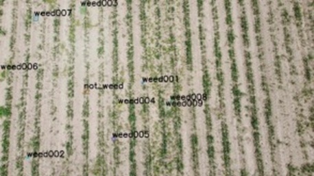 Figure 1. Example of dataset annotation and label classification.