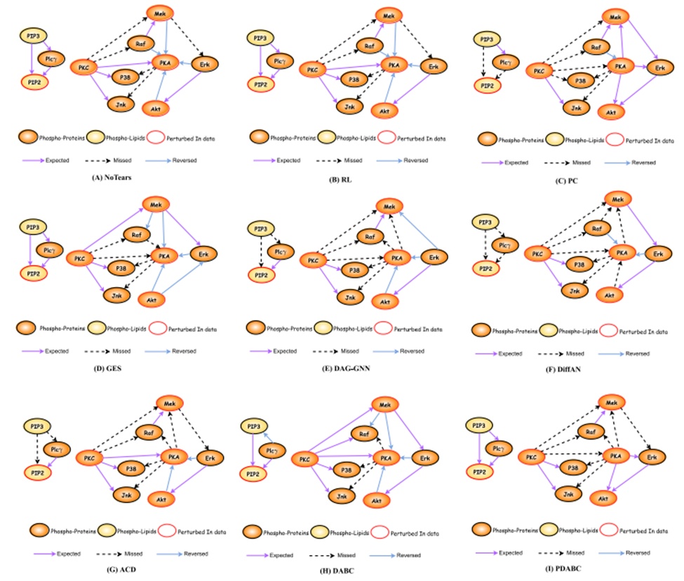 Figure 7. The causal protein signalling network learnt by 9 algorithms on single-cell data. Each graph contains three types of connected edges, indicating that the algorithm learns correct edges, missing edges, and reversed edges compared to the ground-truth network.
