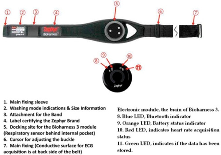 Figure 1. Visual capture of the Zephyr BioHarness multimodal sensory platform deployed for informational harvesting from Topigs Norsvin TN70 piglets.