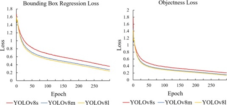 Figure 8. Comparison of loss curves of watermelon object detection models. Bounding Box Regression loss represents the error between the predicted box and the ground truth box. Objectness loss indicates the model’s confidence that a target actually exists in a given region.