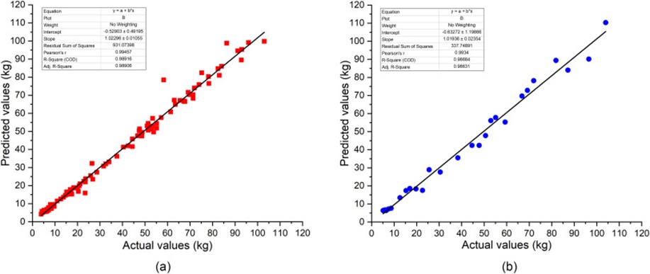 Figure 12. The actual versus the predicted values of live pig weights using AdaBoost: (a) training and (b) testing.