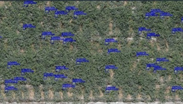 Figure 12. Detection result of the PSOPDCM.