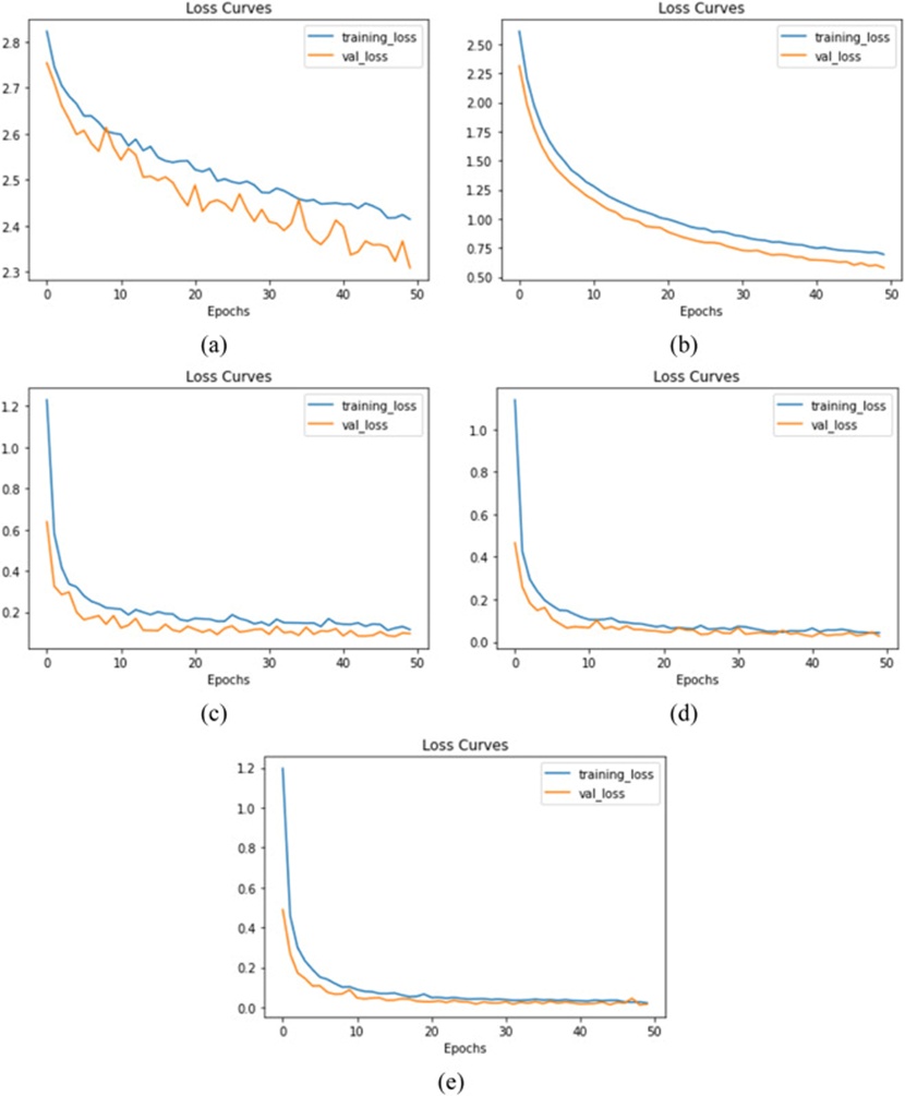 Figure 5. Loss curve (a) ResNet50, (b) VGG19, (c) InceptionV3, (d) MobileNetV2, and (e) DenseNet201.