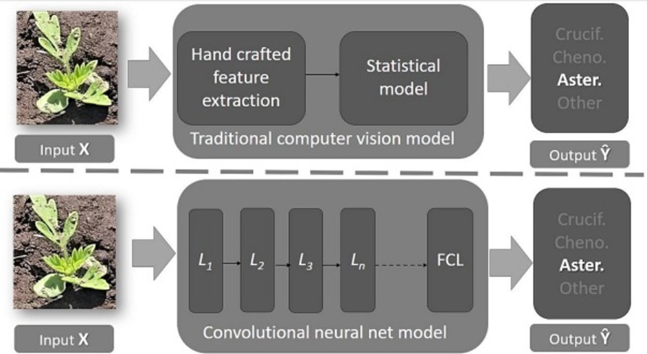 Figure 2. Juxtaposition of traditional computer vision and deep learning schemes for weed classification, with L1, L2 … Ln marking the convolutional layers and FCN indicating the terminal fully connected layer (Adapted from [31].