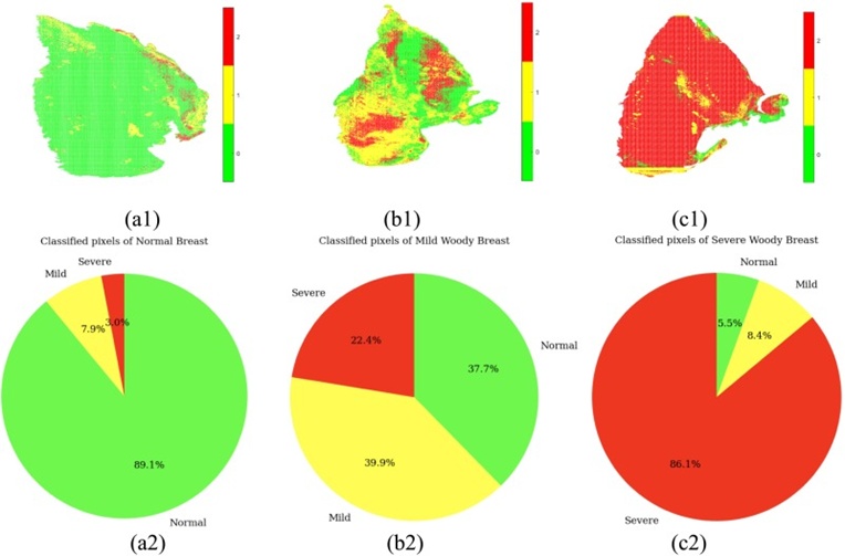 Figure 14. Classified pseudo images of NB (a1), MWB (b1), and SWB (c1) with respective pie charts (a2, b2, c2) pixel classification percentages. The classification pie charts indicate the percentage of the rity levels for woody breast condition, which can be used to determine whether it.