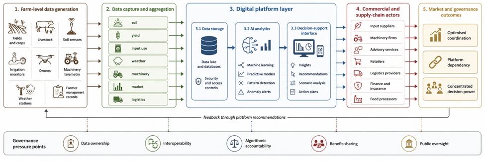 Figure 1. Digital Agri-Food Network Architecture: Data Flows, Platform Intermediation, and Governance Pressure Points from Farm Production to Food Markets