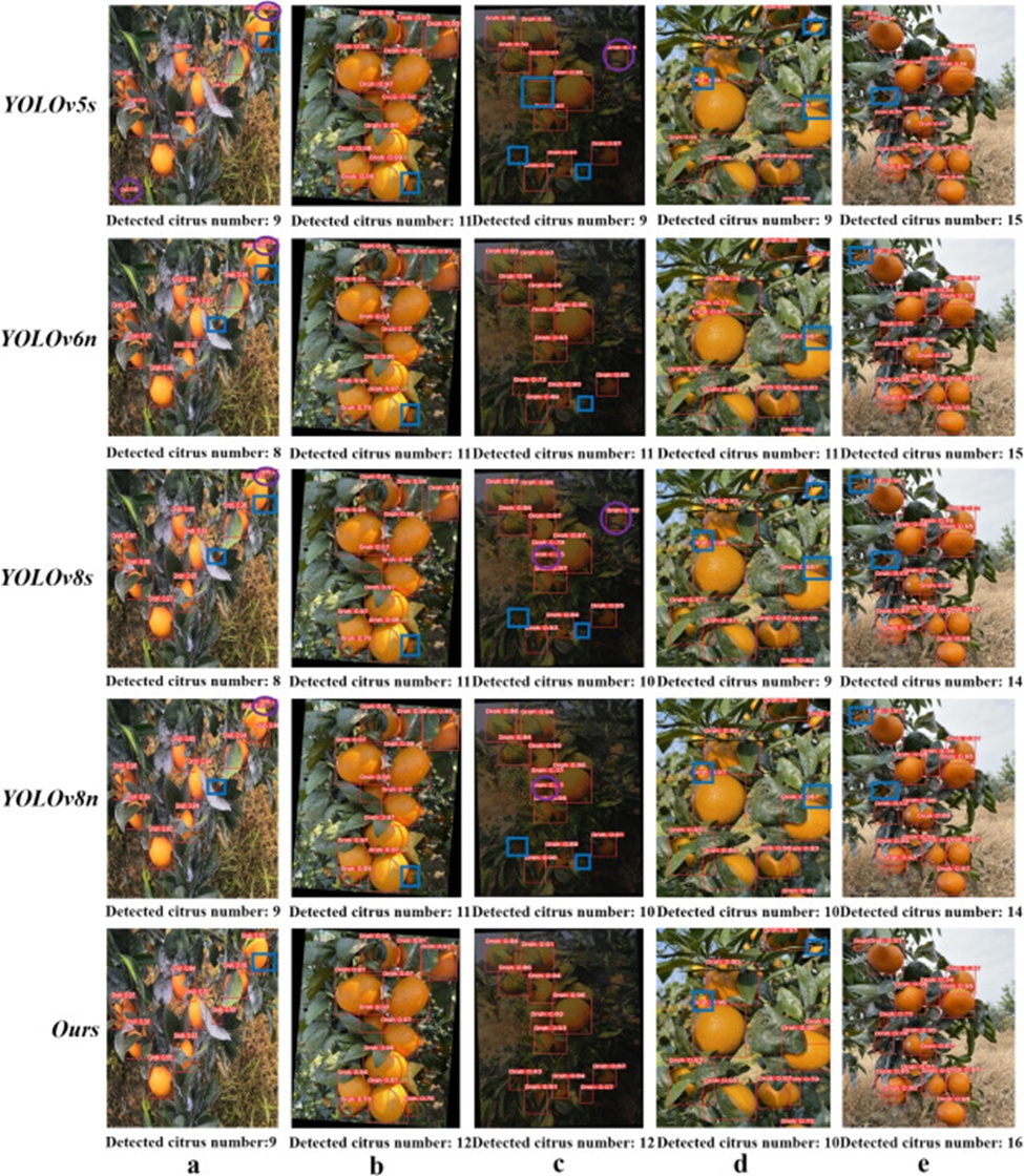 Figure 18. Detection results of Orah fruits affected by single or multiple factors: a) Results of occlusion, b) Results of overlapping, c) Results of darker light with occlusion, d) Results of sunlight with occlusion and overlapping, and e) Results of cloudy with occlusion and overlapping.