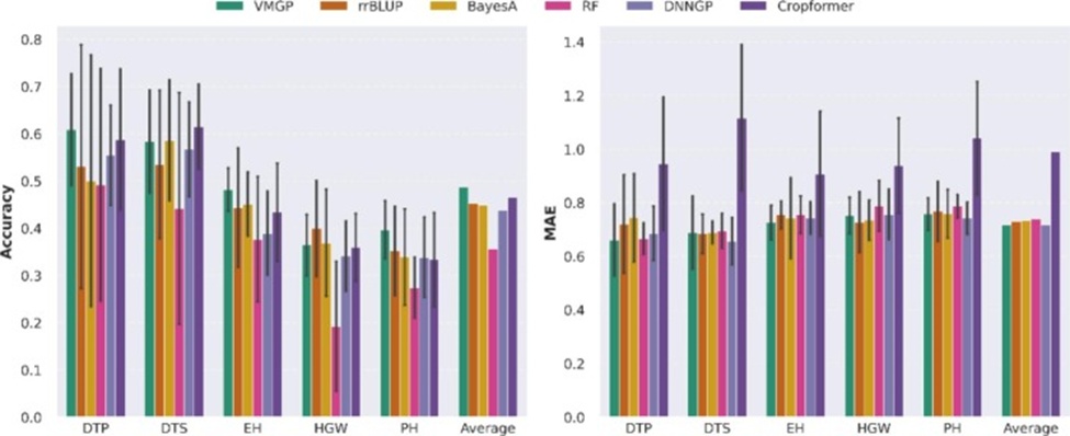 Figure 5. Cross-population prediction accuracy and prediction error of methods built using four different models on the maize4505 dataset. Abbreviations: VMGP = variational auto-encoder-based multi-task genomic prediction; rrBLUP = ridge regression-best linear unbiased prediction; RF = random forest; DNNGP = deep neural network for genomic prediction; DTP = days to pollen; DTS = days to silking; EH = ear height; HGW = hundred-grain weight; PH = plant height.