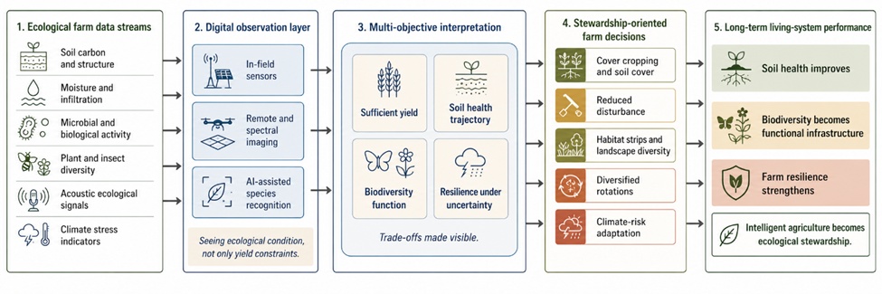 Figure 2. Digital-Ecological Stewardship Pathway for Reorienting Intelligent Agriculture Toward Soil, Biodiversity, and Resilience Outcomes