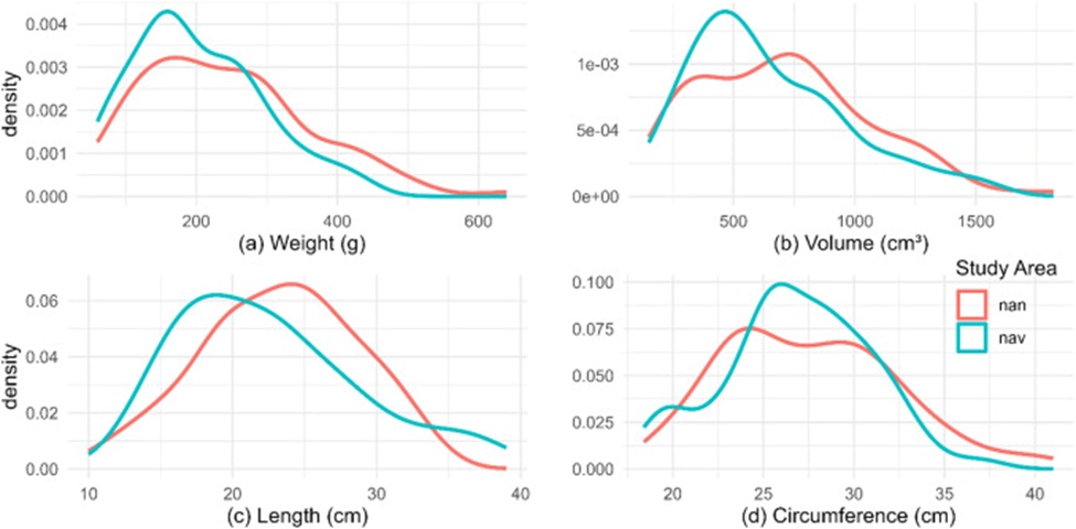 Figure 7. Distribution of morphological characteristics in samples collected from the Nandom (nan) and Navrongo (nav) study areas.