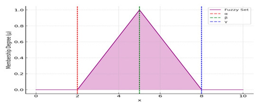 Figure 2. Triangular fuzzy quantity.