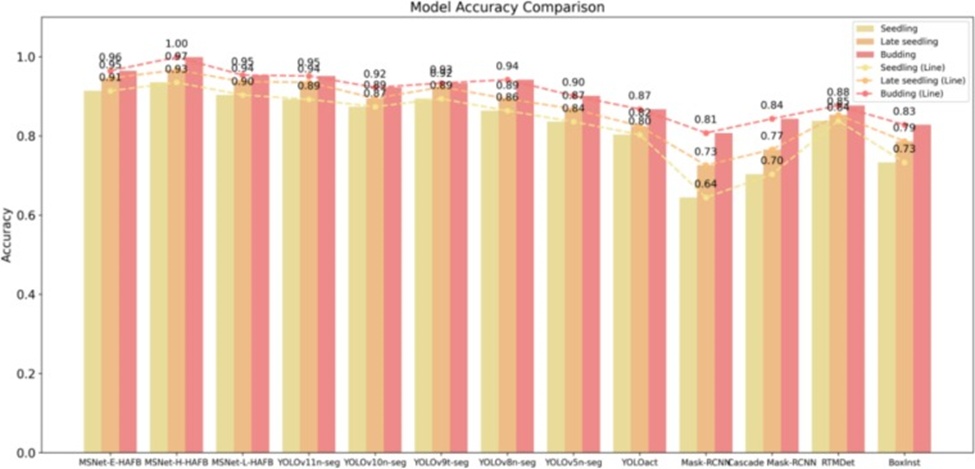 Figure 12. Comparison of rapeseed seedling detection accuracy across three stages for different models.