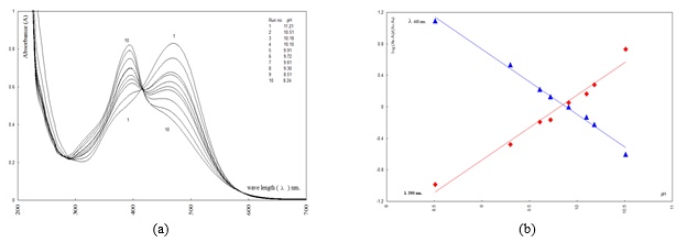 Figure 4. (a) Electronic absorption spectra of compound 5d, in solution of different pH values (1:4 (v/v) dioxane-water) at 27 °C and μ = 0.10; (b) Correlation of log(Ab - Ai)/(Ai - Aa) at two maximum electronic absorption wavelengths with pH values of compound 5d.