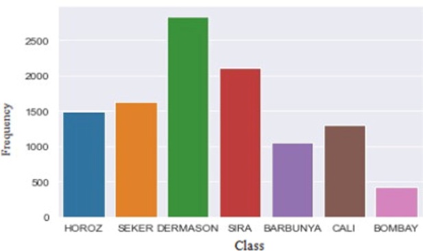 Figure 6. Histogram of bean seed varieties distribution.