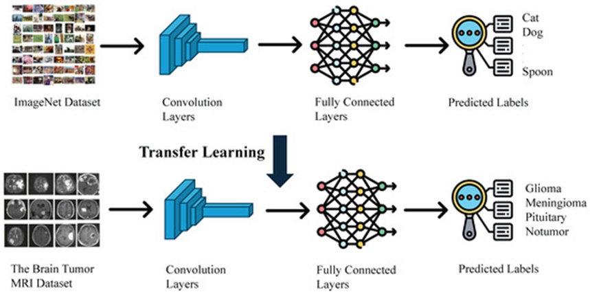 Figure 7. The transfer learning process leveraging imagenet pre-training.