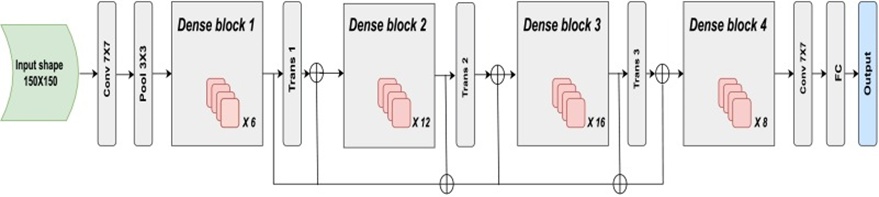 Figure 5. This illustration outlines the cutting-edge design of DenseNetMini, representing a significant leap in the deep learning landscape. With a unique architectural design optimized for performance, operational efficiency, and flexibility across a range of tasks, the DenseNetMini framework reflects ongoing progress in neural network research. The graphical portrayal offers a window into the inner workings of this advanced model, hinting at compelling future directions within the domain of artificial intelligence.