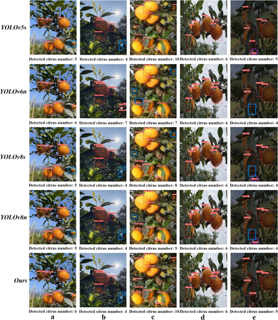 Figure 17. Detection results of Orah fruits dominated by various light conditions: a) Results with straight light, b) Results with back light, c) Results of cloudy with straight light, d) Results of cloudy with back light, and e) Results with darker light. Note: the missed detections are marked with blue squares, while false detections are indicated with purple circles. (For interpretation of the references to color in this figure legend, the reader is referred to the web version of this article.)