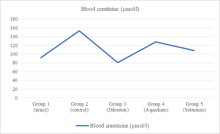 Figure 4. Serum creatinine concentrations in rats treated with mineral supplements.