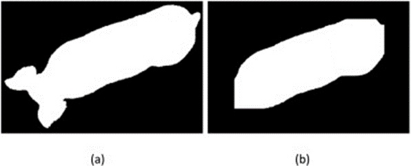Figure 10. (a) the raw image and (b) the image after head and tail removal.