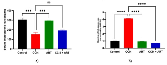 Figure 3. Effects of CCl4 and ART on testosterone levels and ERCC1 gene expression: a) serum testosterone level, and b) relative ERCC1 gene expression.