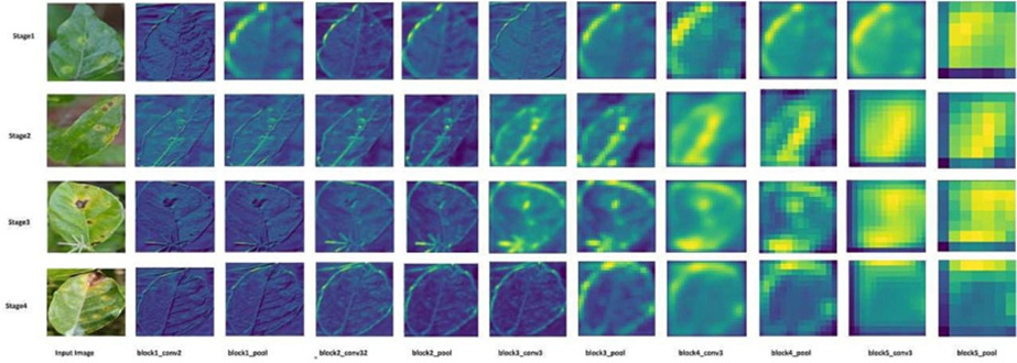Figure 19. Layer visualization of the VGG16 classifier.