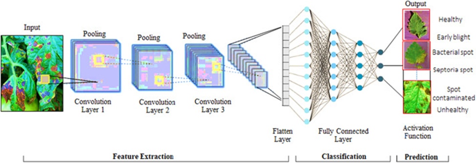 Figure 6. Proposed convolutional neural network CNN architecture.