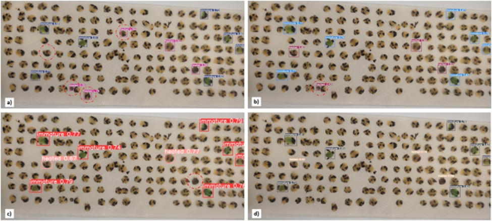 Figure 9. Detections made by (a) YOLOv5m, (b) YOLOv7, (c) YOLOv8m, and (d) YOLOv7_ours models on the same representative test image T8. The false positives and false negatives are encircled in red.
