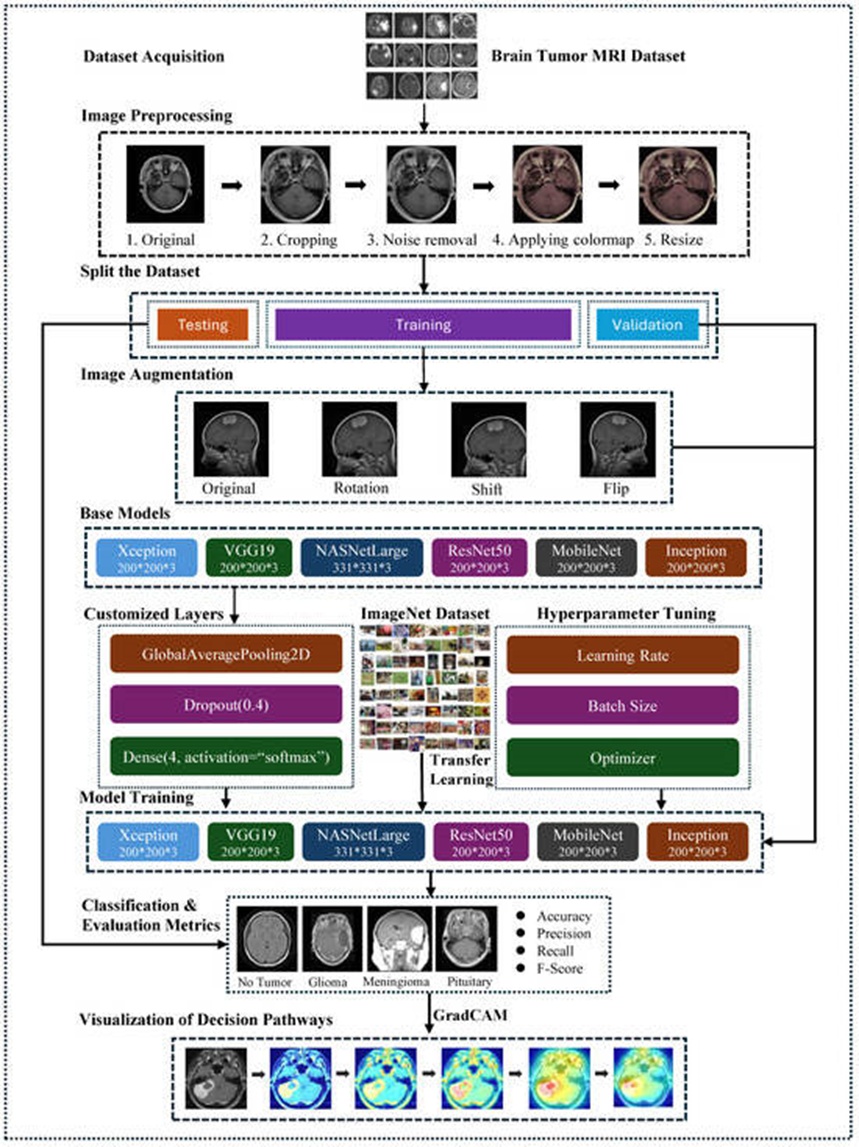 Figure 1. The structure of the proposed framework for brain tumor classification.