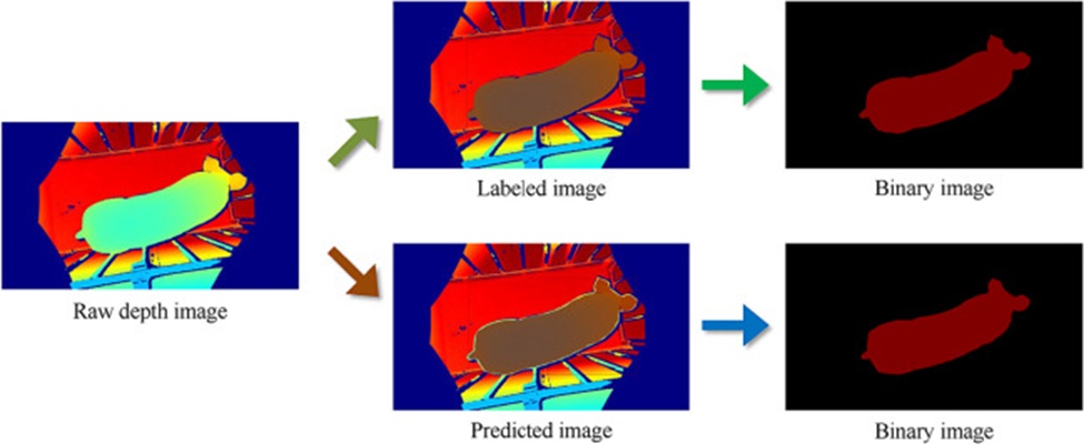 Figure 9. The ResNeSt 50-FPN-AM segmentation results.